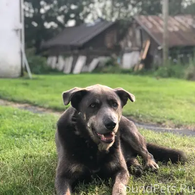 🆘🆘🆘 С 31 декабря на 1...