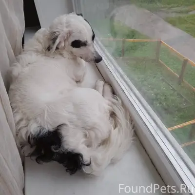 🆘СРОЧНЫЙ ПОСТ🆘 СЕВЕРОДВИНСК! В...