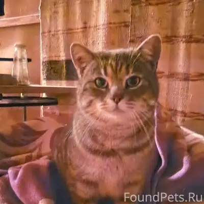 31 декабря у Магнита на Комсом...