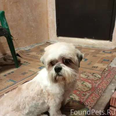 Переулок володарского,сегодня ...