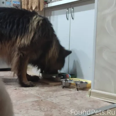 Друзья, поздравляю всех с Новы...