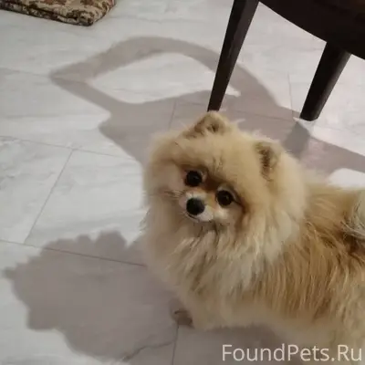 В ночь с 31.12.25...