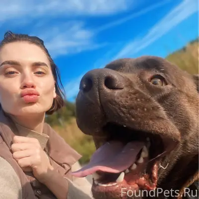 Сбежал пес 😞 Ищем и не...