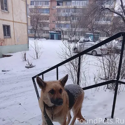 Ребята, пожалуйста максимальны...