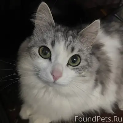 Здравствуйте поздравляю всех с...