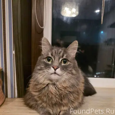 Пожалуйста, опубликуйте 💔🙏🏻 Пр...