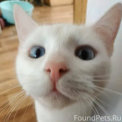 В д. Нижняя Лужна, 30 декабря....