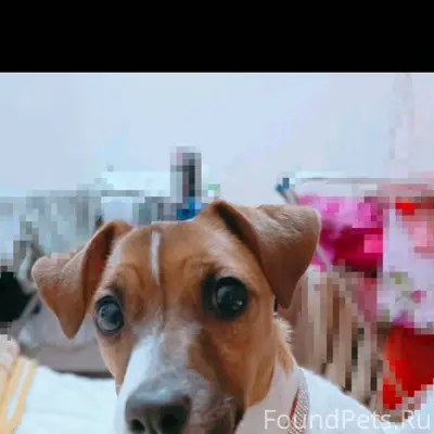 Дорогие Сургутяне! Я верю в си...