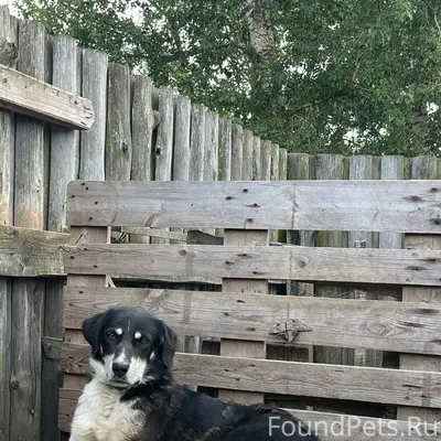 Привет пв 07.01.26 вечером...