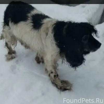 Опубликуйте , пожалуйста !!!🙏 ...