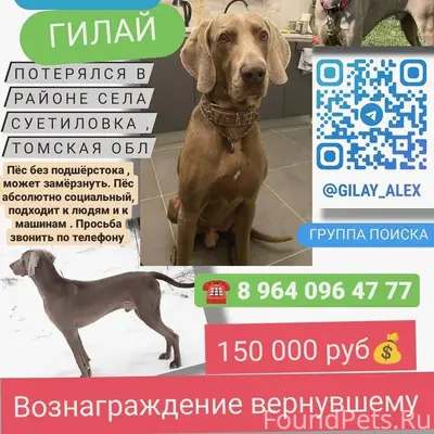 ℹ️ Помогаю информационно ℹ️ По...