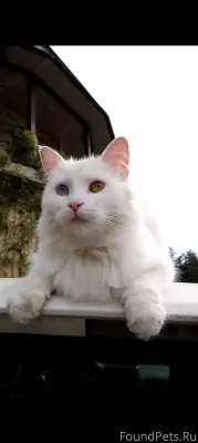 Район Дендрария. Верхняя канат...