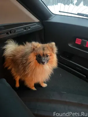 На Западном объезде НАЙДЕН ШПИ...