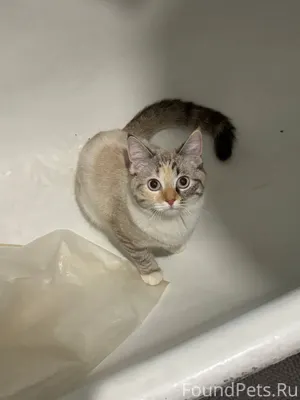 Помогите, пожалуйста! В районе...