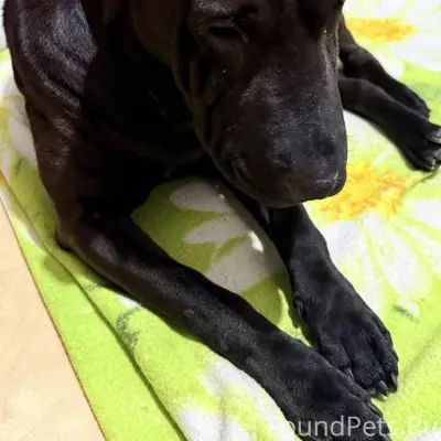 В районе Восточный была найден...