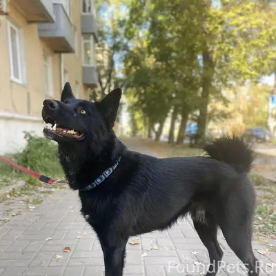 Здравствуйте 10 декабря 24 год...