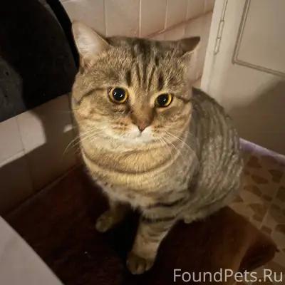 Сегодня в районе 9-10 часов...