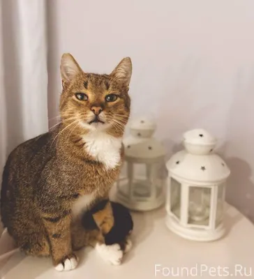 Буинск! Частный сектор сахарно...