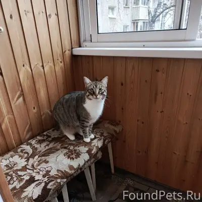 В начале января на ул Гагарина...