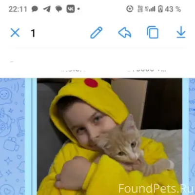 Грязовец ! Пропал маленький ко...