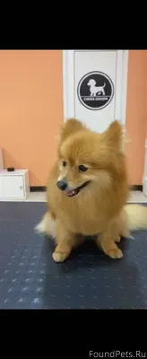 10.01. Около 15 - 19:30...