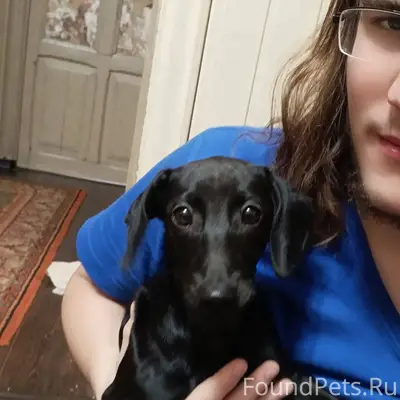 Друзья! Обращаюсь к вам с прос...