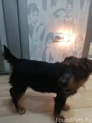 Друзья! В чера, 9 января, у...