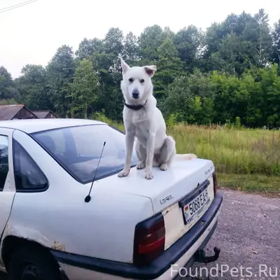 К сожалению, до сих пор не...
