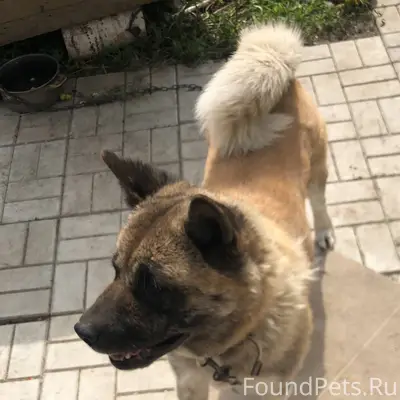 Добрый день ,сегодня ночью убе...