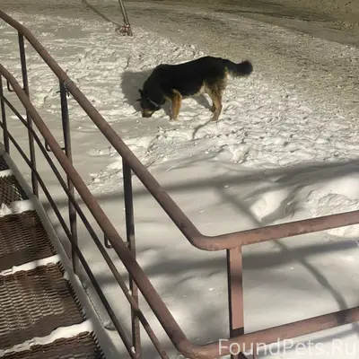 С 01 января в районе парка...