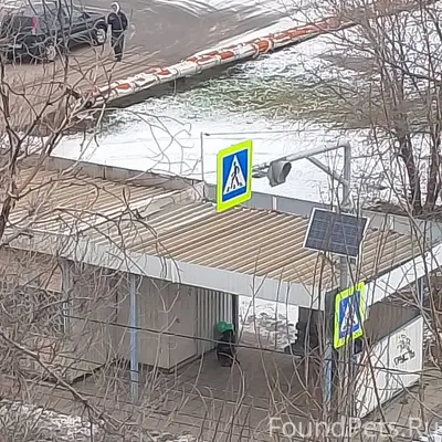 Кто потерял собаку ротвейлера,...