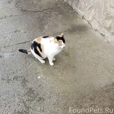 Волжский. После Рождества у до...