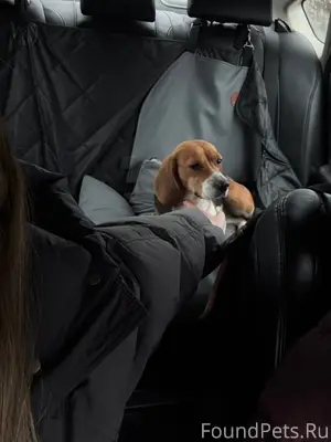 В районе села Хлебороб (Хостин...