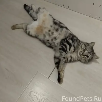 Калужская область Перемышльски...