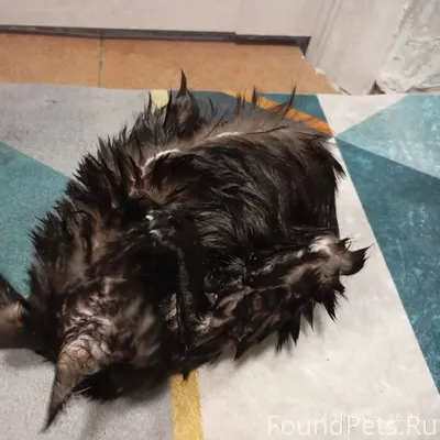 🙏🙏Помогите, пожалуйста, закрыт...