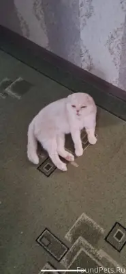 Здравствуйте. Помогите найти к...