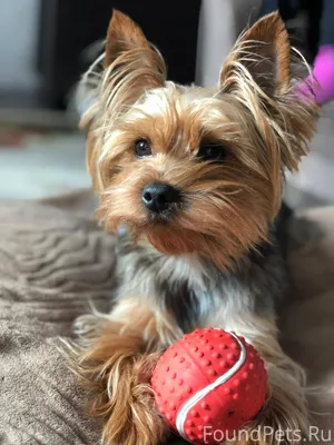 Помогаю информационно 🆘️🆘️🆘️Но...