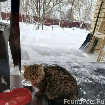 Друзья, сделайте, пожалуйста, ...