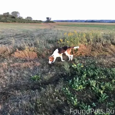 10.01.2026 г. на охоте...