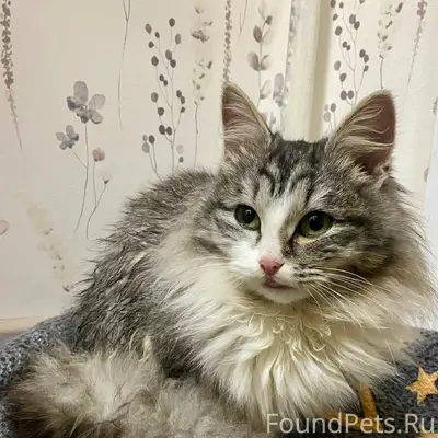 ОНА БЕЗ ЗАЩИТЫ И ХОЧЕТ ВЕРНУТЬ...