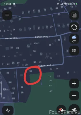 Найден кот ( кошка) мейн-кун в...