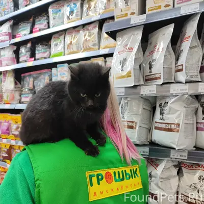 Магазин Грошык ( Тексер 2а) Ко...