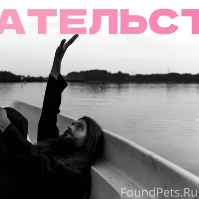 Собаки нет в собаке. собаки не...