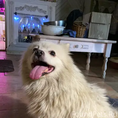 3.12.25 на участке Ферзикоао.....