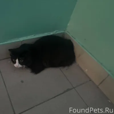 Всем добрый день, со вчерашнег...