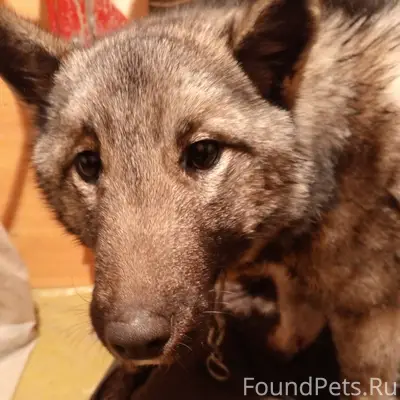 🆘🆘🆘 🆘🆘🆘 🆘🆘🆘 Сегодня ночью была...