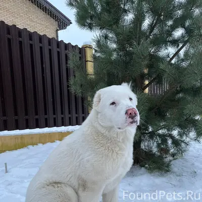 Сегодня 10 января в районе 16....