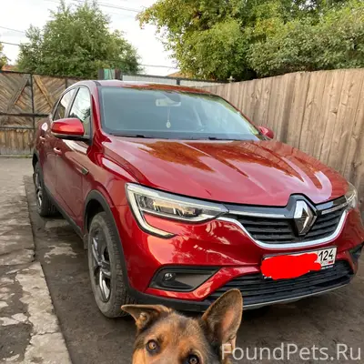 Всё ещё в надежде найти! Потер...