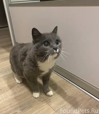 ⚠️ Калуга, срочно! ⚠️ В сугроб...