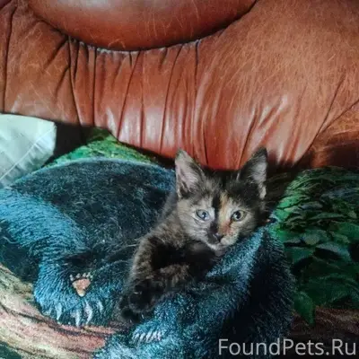 Эта милая малышка с особенным ...